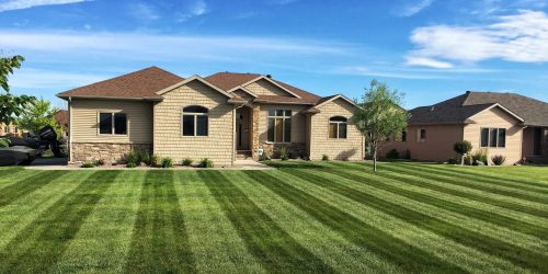 Lawn Mowing, Grass Cutting, Lawn Care