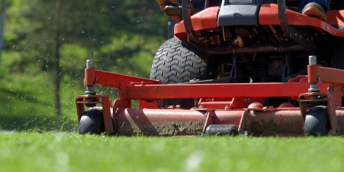 Lawn Mowing, Grass Cutting, Lawn Care