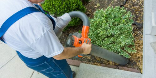 Leaf Removal, Leaf Removal service, Fall Clean Up, Spring Clean Up,