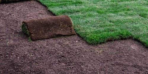 Sod Installation, Sod Contractor, Sod Replacement Sod Installation, Sod Contractor, Sod Replacement