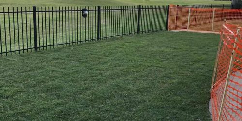 Sod Installation, Sod Contractor, Sod Replacement Sod Installation, Sod Contractor, Sod Replacement
