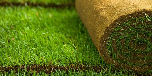 Sod Installation, Sod Contractor, Sod Replacement Sod Installation, Sod Contractor, Sod Replacement