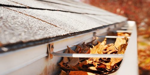 Gutter Clean out, Gutter Cleaning Service, Free Estimates (1)