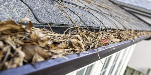 Gutter Cleaning, Gutter Clean out, Clean Leaf out of Gutters
