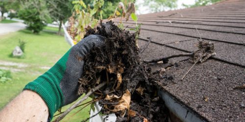 Gutter Cleaning, Gutter Clean out, Clean Leaf out of Gutters