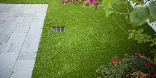 Leaf Removal, Leaf Removal service, Fall Clean Up, Spring Clean Up,