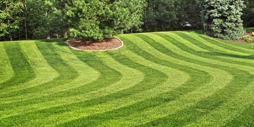 Lawn Care, Lawn Mowing, Grass Cutting, Lawn Maintenance, Lawn Care Business