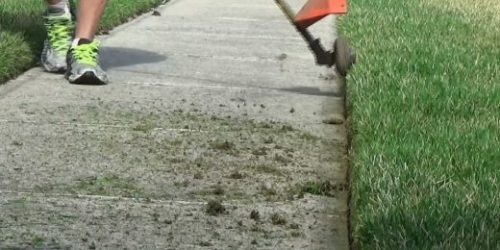 Lawn Mowing, Grass Cutting, Lawn Care