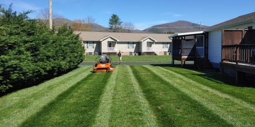 Lawn Mowing, Grass Cutting, Lawn Care