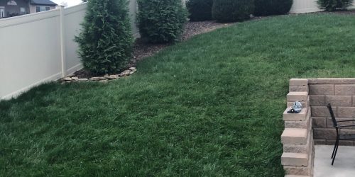 Sod Installation, Sod Contractor, Sod Replacement Sod Installation, Sod Contractor, Sod Replacement