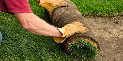 Sod Installation, Sod, New Lawn, Free Estimate
